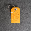 TSA Leather Luggage Tag