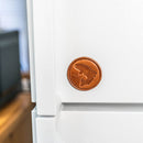 Fish Stamp Leather Magnet
