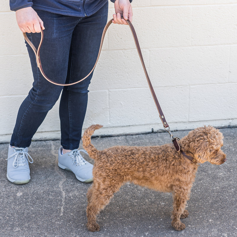 Classic Dog Leash - Personalized Leather Dog Leash