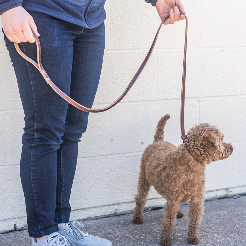 Slip Lead Dog Leash - Personalized Leather Dog Leash